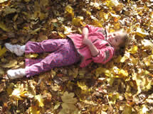 fall